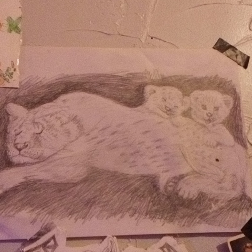 Sketching